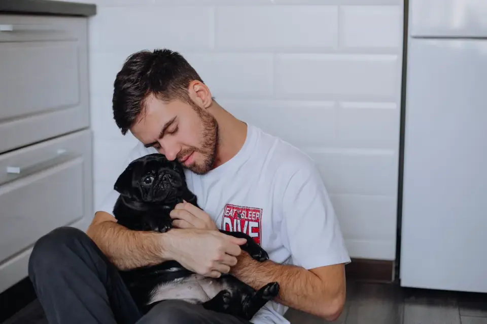 Dog owner preparing a meal