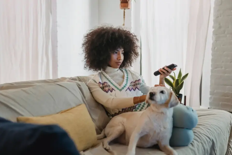 Dog resting beside an owner
