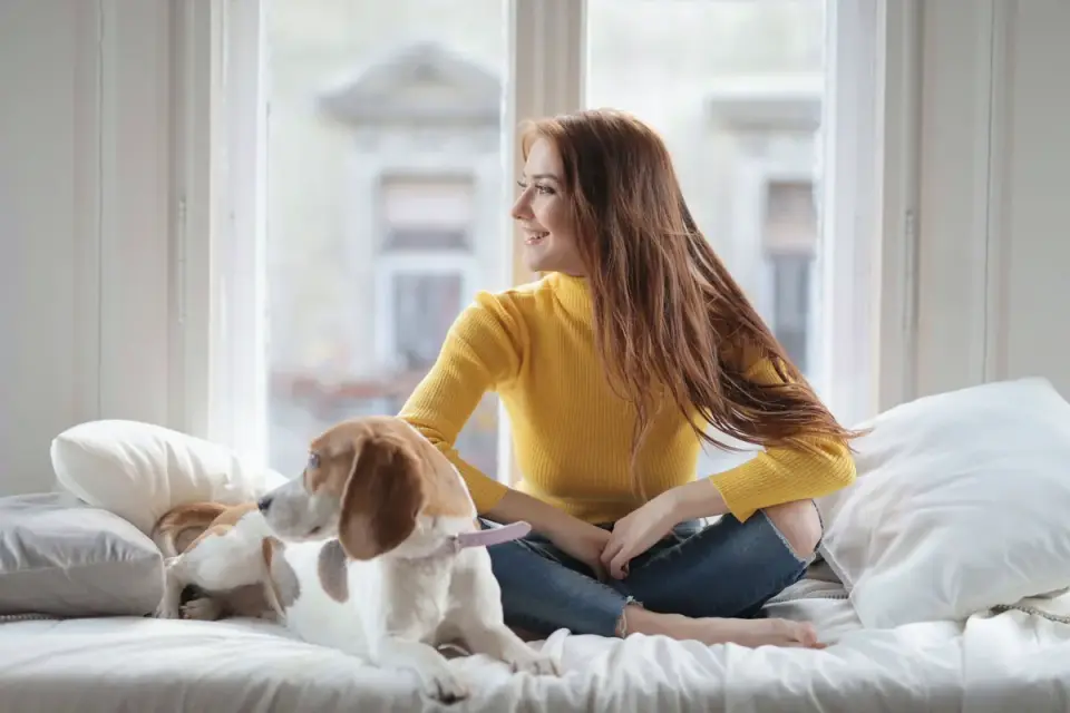 Dog resting beside an owner