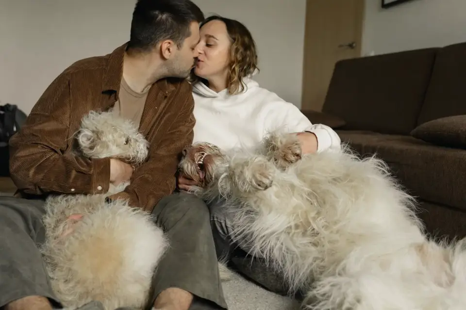 Dog with an owner at home
