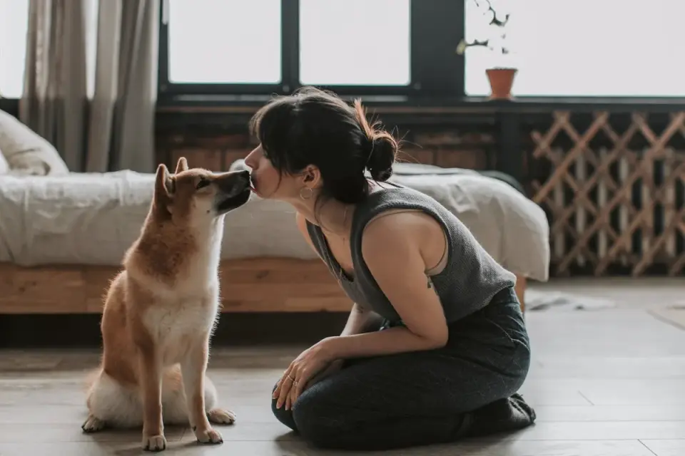 Dog with an owner at home