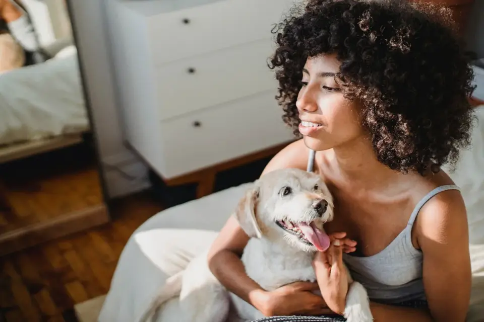 Dog with an owner at home