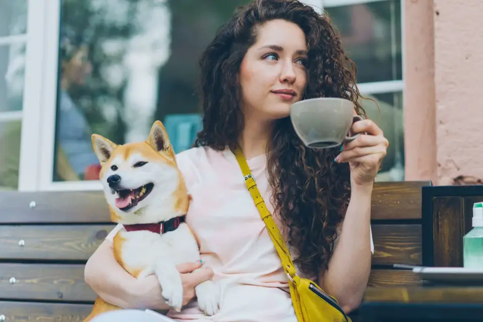 Dog with an owner at home