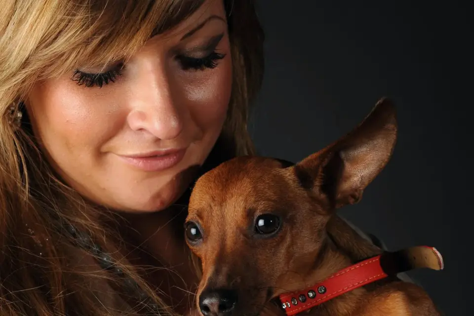 Dog with an owner at home
