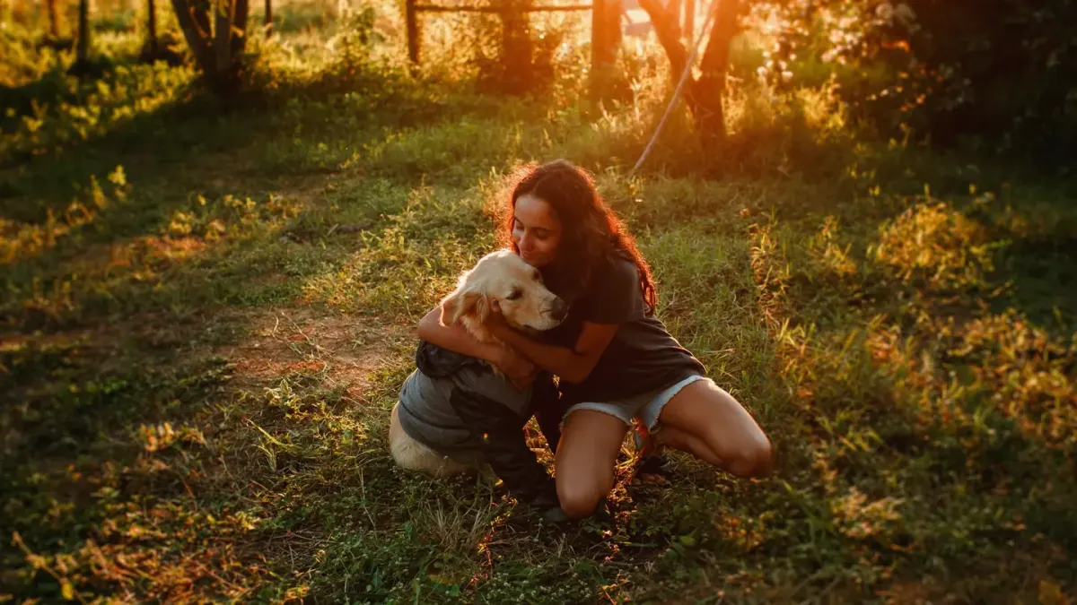 Dog with an owner at home