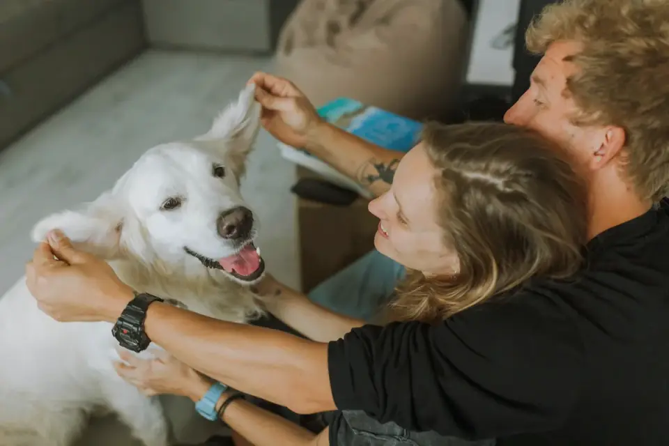 Dog with an owner at home