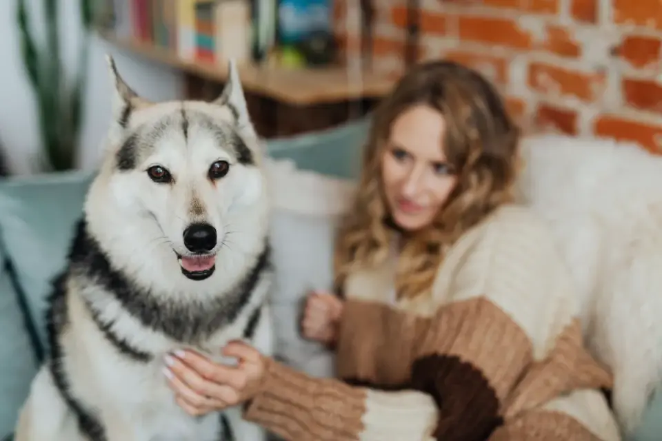 Dog with an owner at home