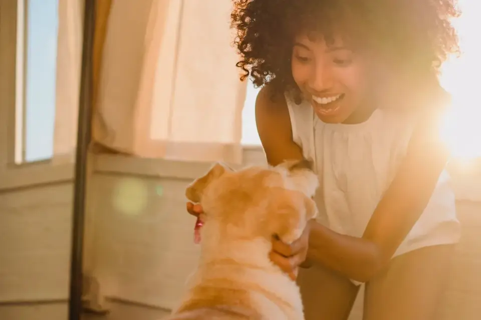Dog with an owner at home